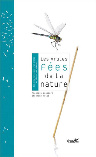 Apprendre la photo insectes