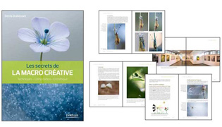 Apprendre la photo macrorecreative
