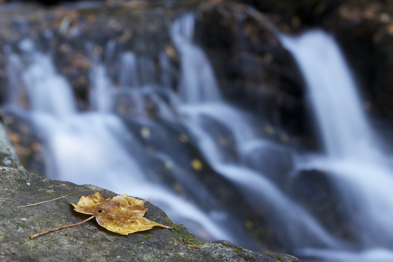 9freenaturestock