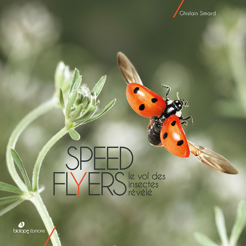 speed