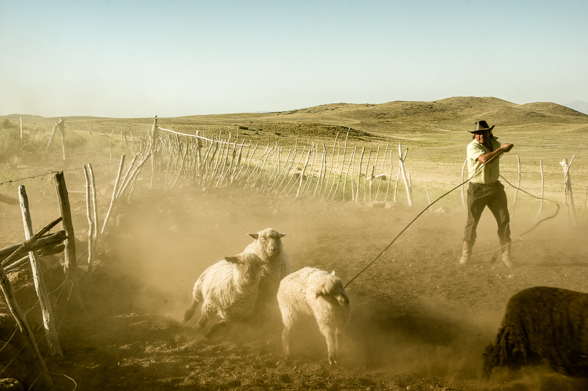 1_571_1_6