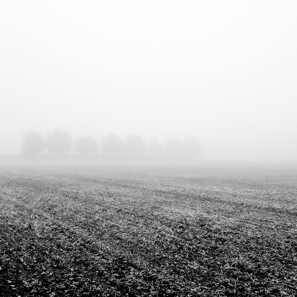 1_579_1_2