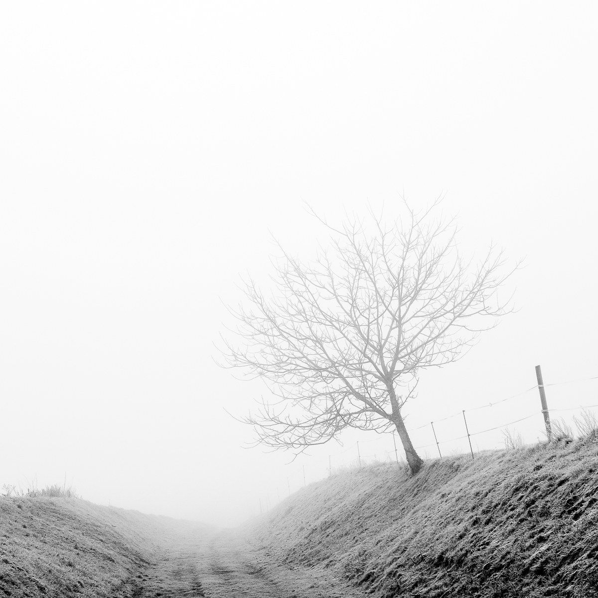 1_579_1_7