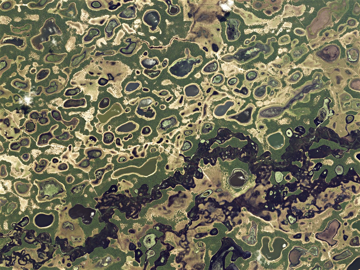 Pantanal - Bresil Pantanal - Bresil
