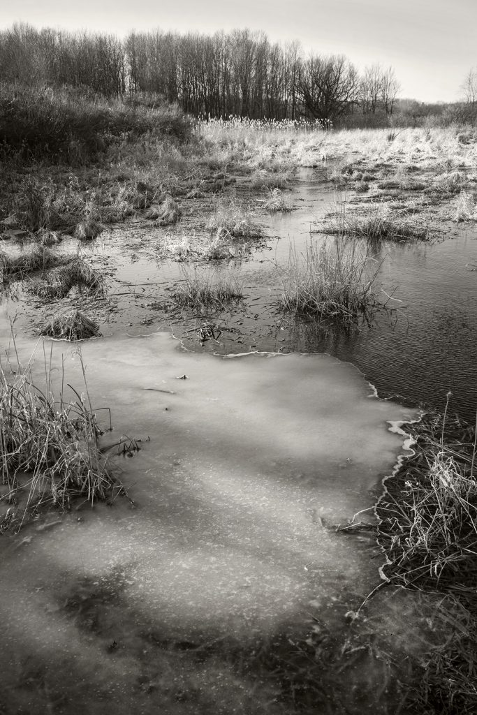 Photo Bruno Chalifour