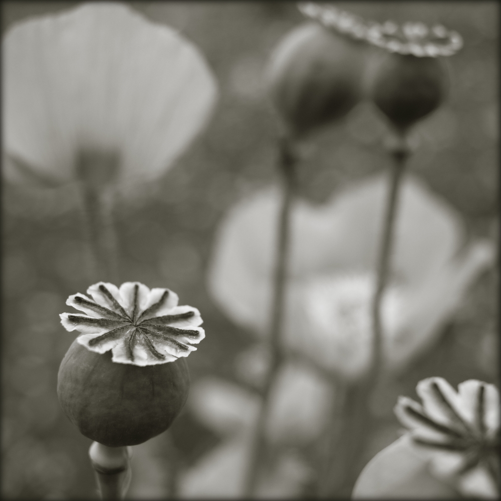 1_595_1_10