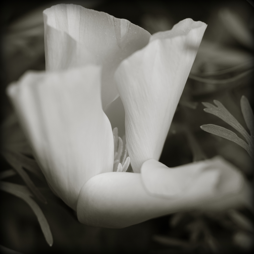 1_595_1_2