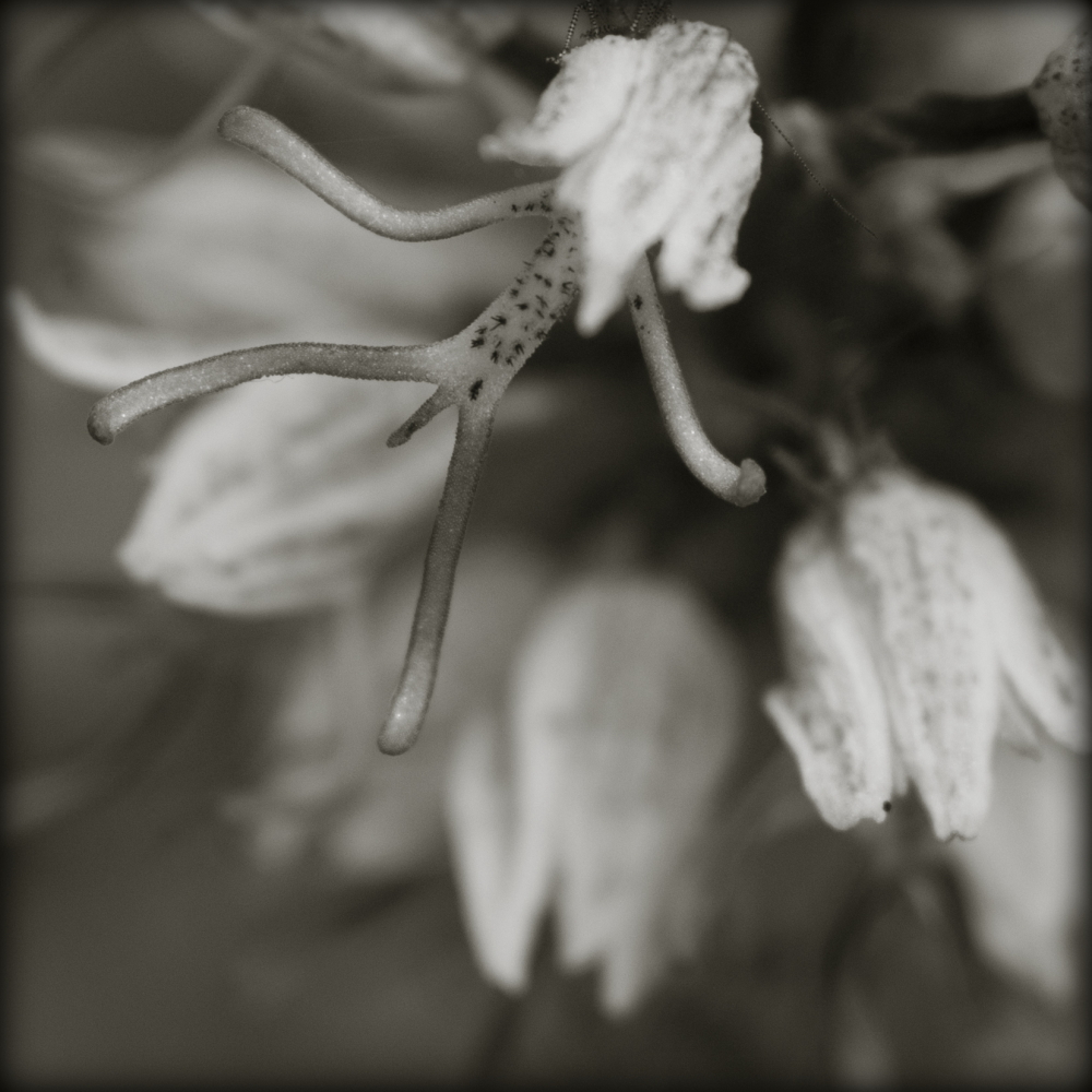 1_595_1_4