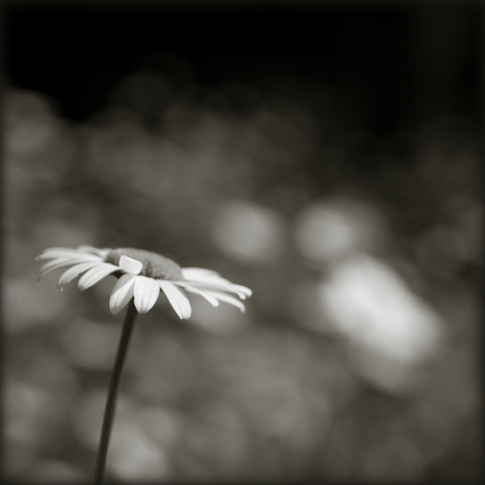 1_595_1_5