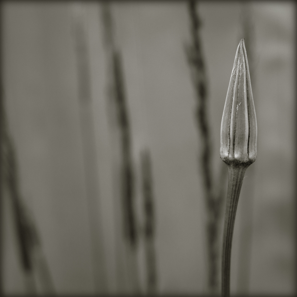 1_595_1_6