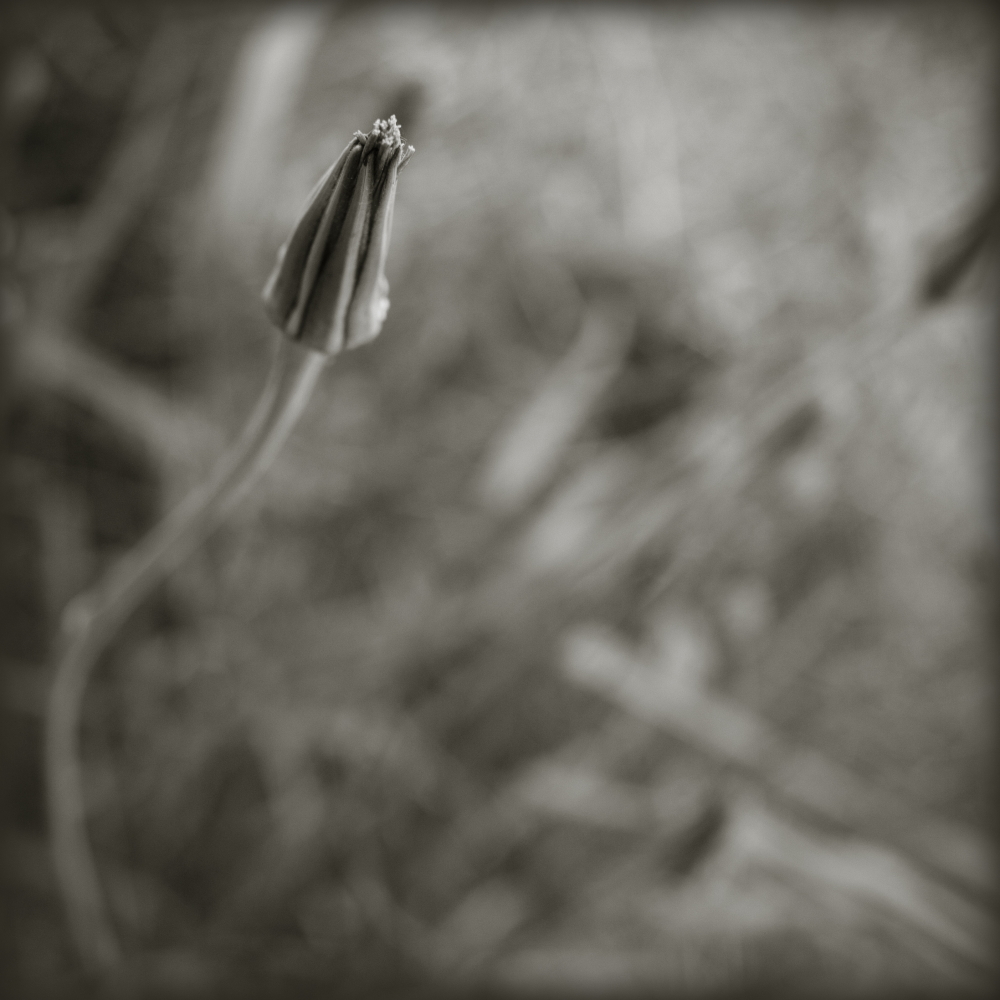 1_595_1_7
