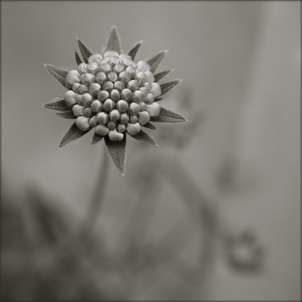 1_595_1_9