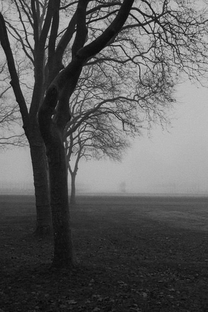 landofmist13