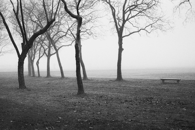 landofmist18