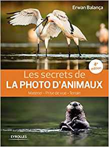 les secrets photo animaux les secrets photo animaux