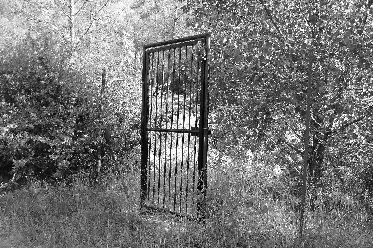 1_35_4_3