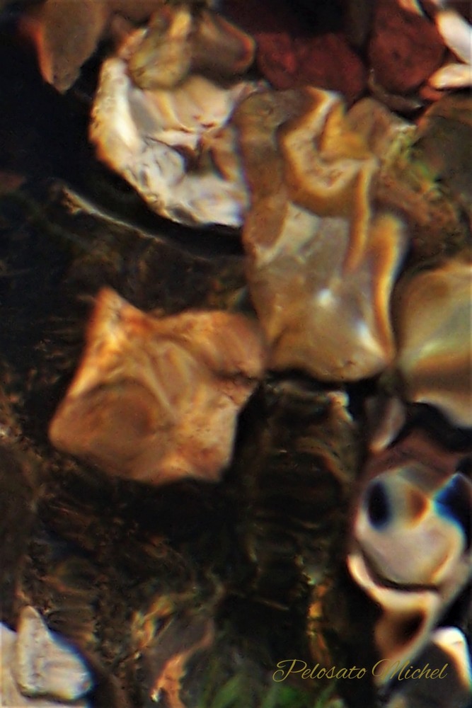 1_591_1_10