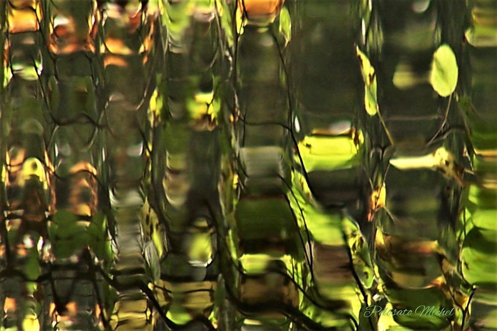 1_591_1_8