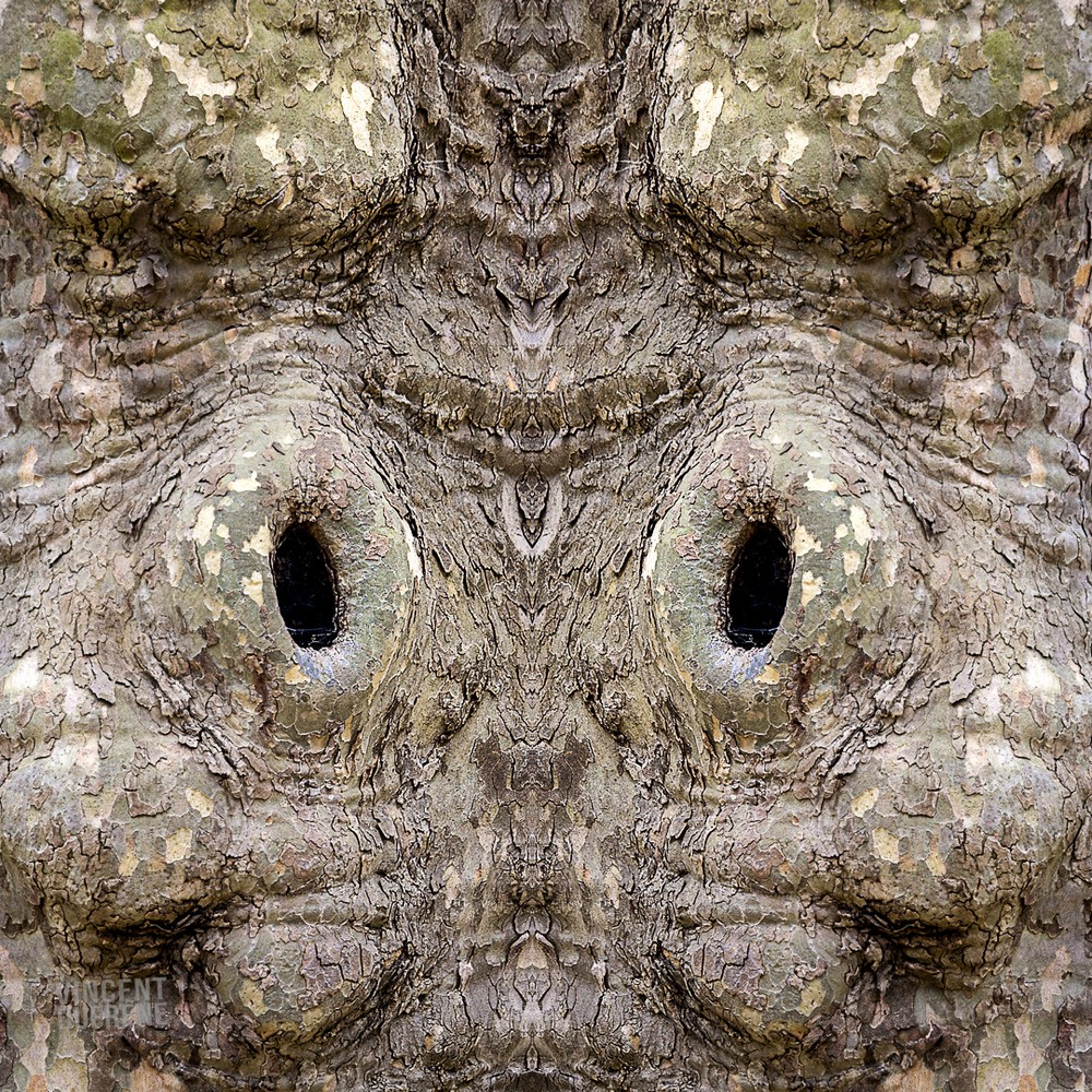 1_614_1_5