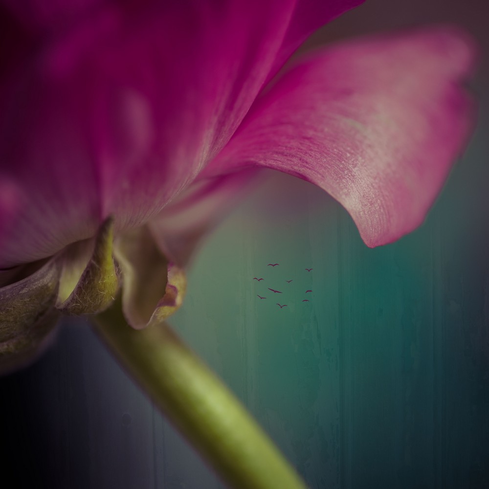 1_623_1_10
