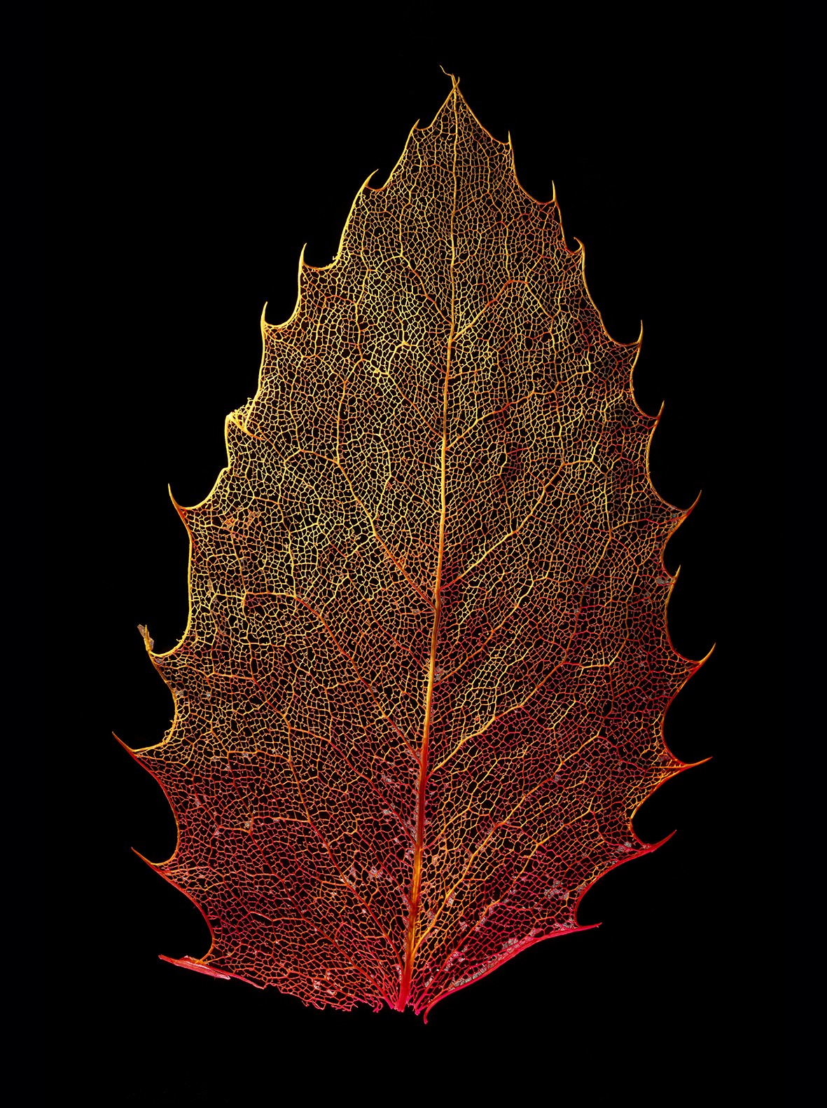 1_634_1_10