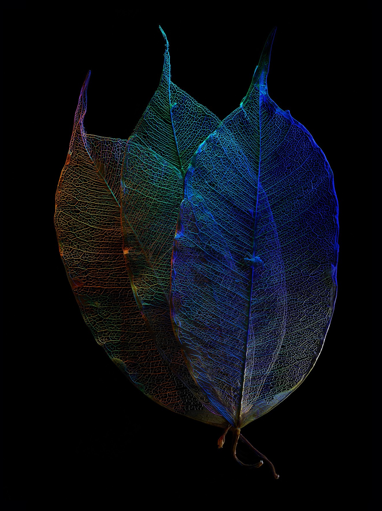 1_634_1_8