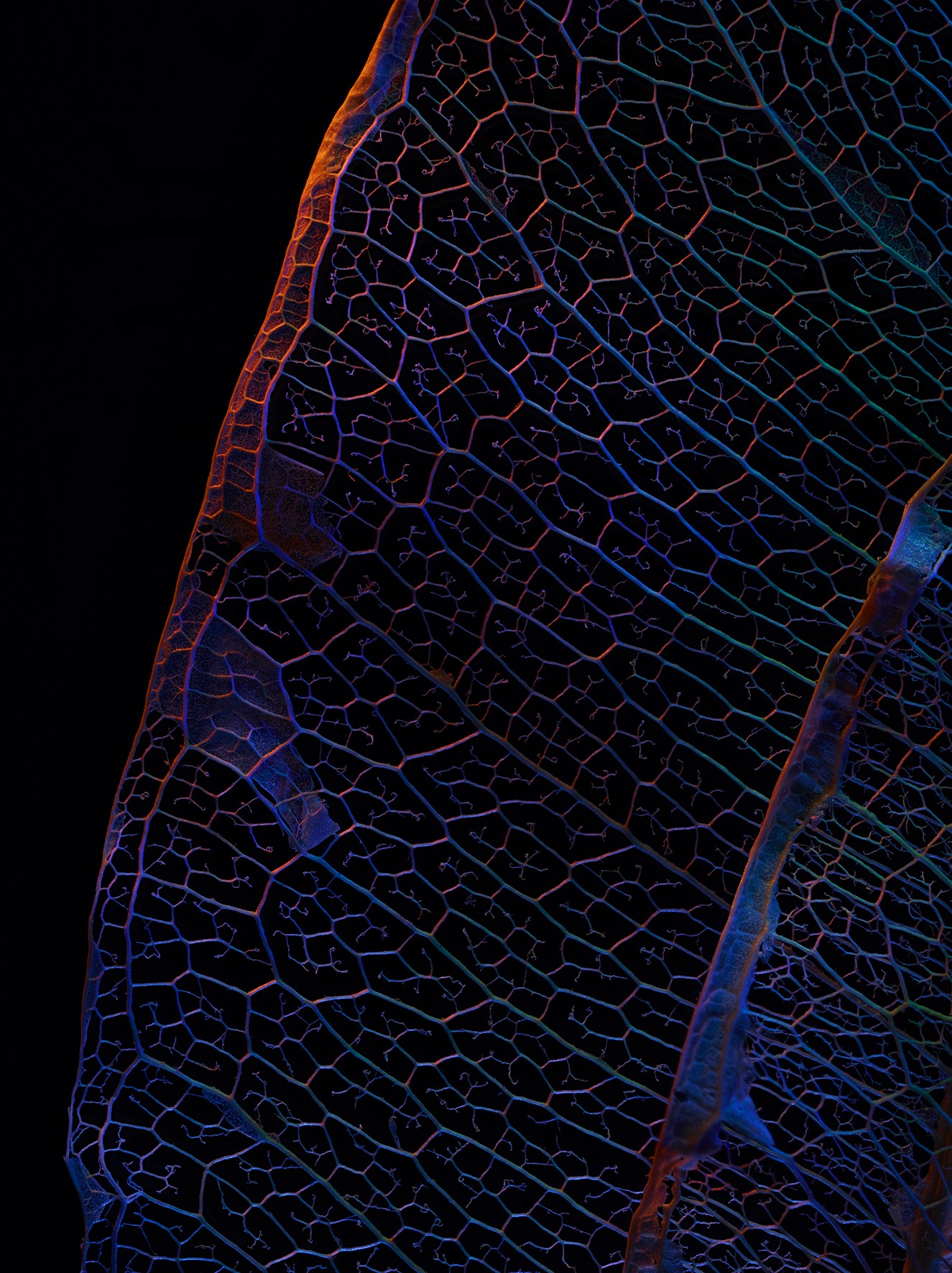 1_634_1_9