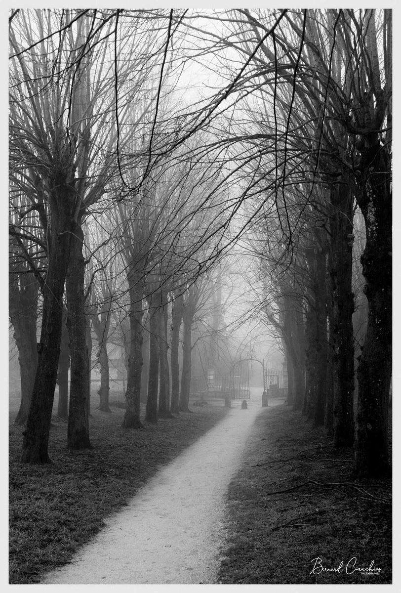 1_641_1_4