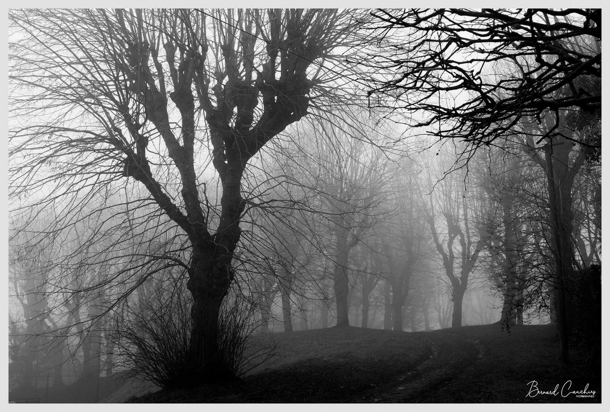 1_641_1_7