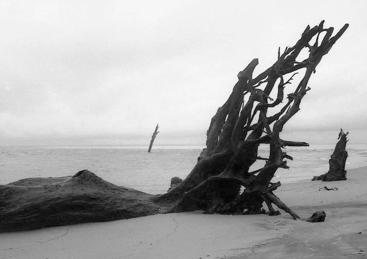 1_643_1_6