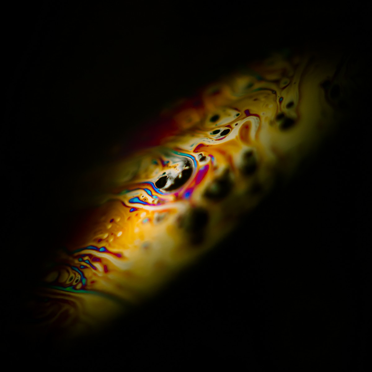 macro photographie