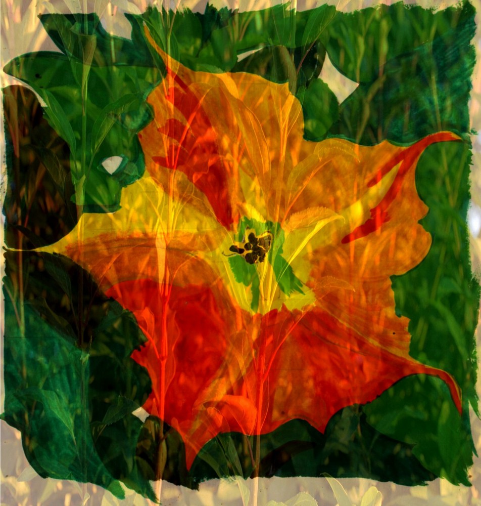 1_22_6_2