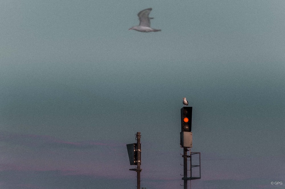 1_644_2_8