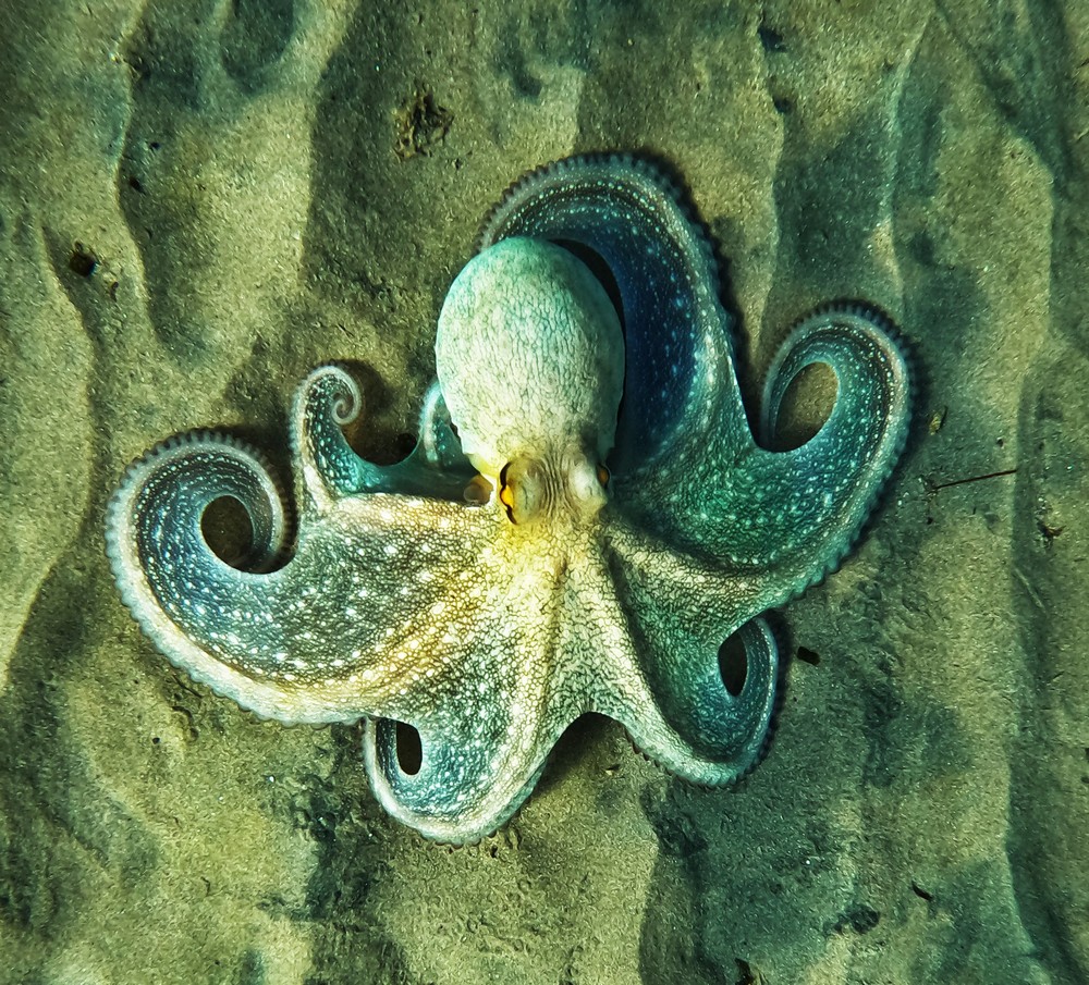 1_663_1_5