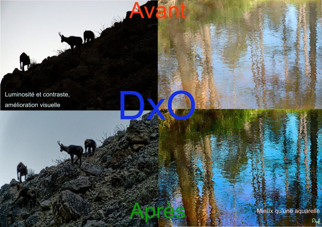 Exemples de luminosité et de correction des couleurs
