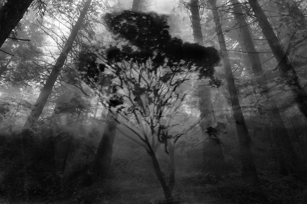 1_671_1_5