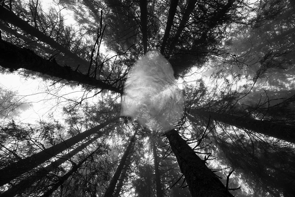 1_671_1_7