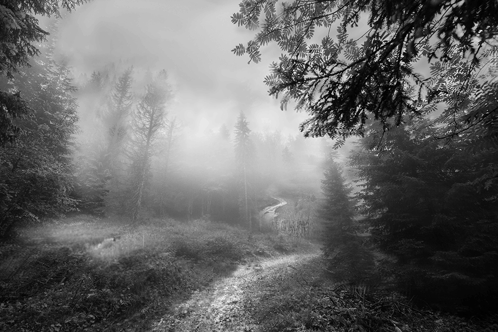 1_671_1_8