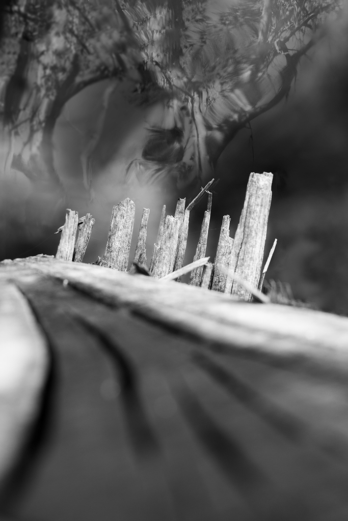 1_671_1_9