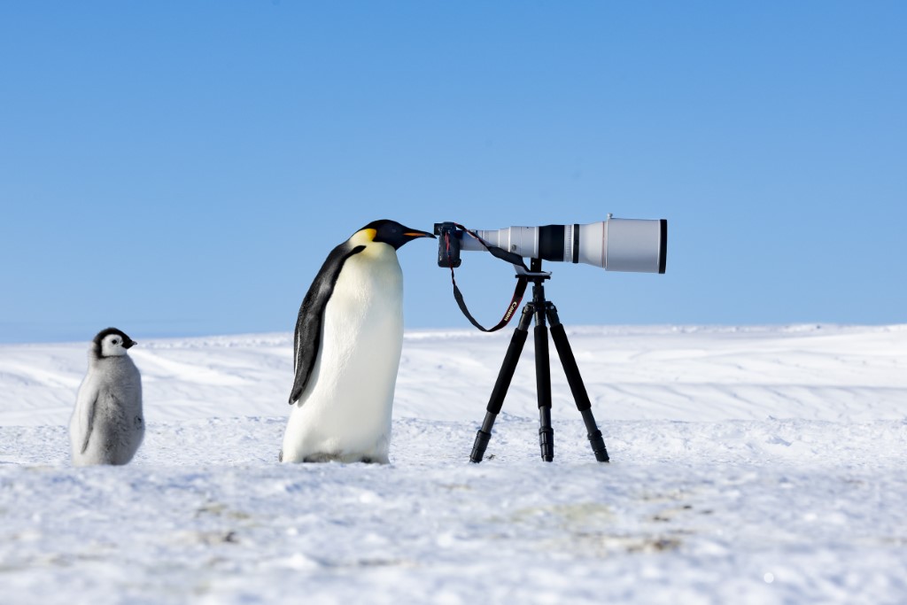 Emperor_Spy__by_Thomas_Vijayan