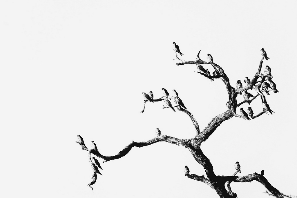 1_677_1_5