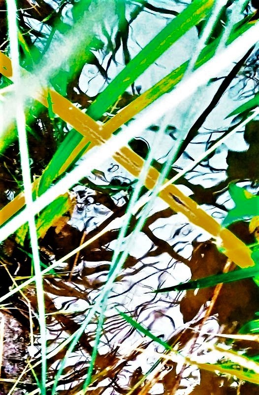 1_616_3_4