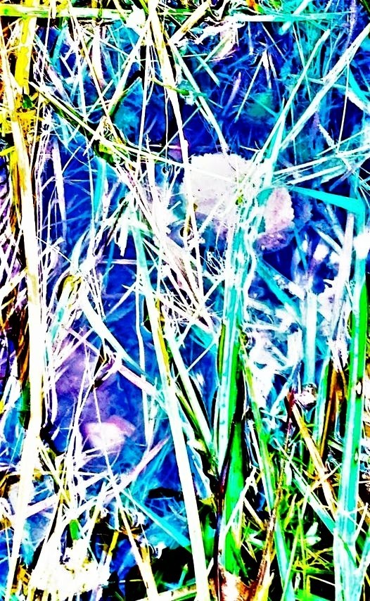 1_616_3_9