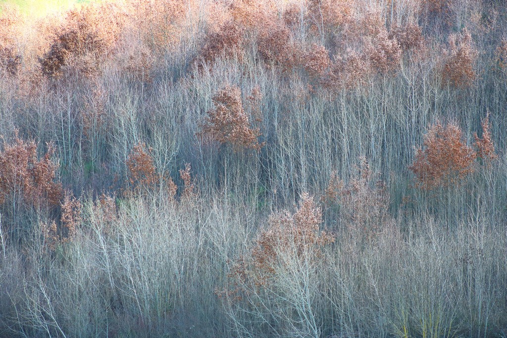 1_616_4_3