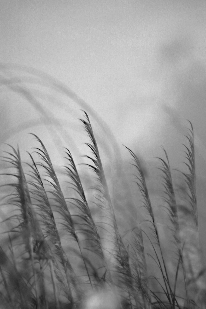 1_616_4_5
