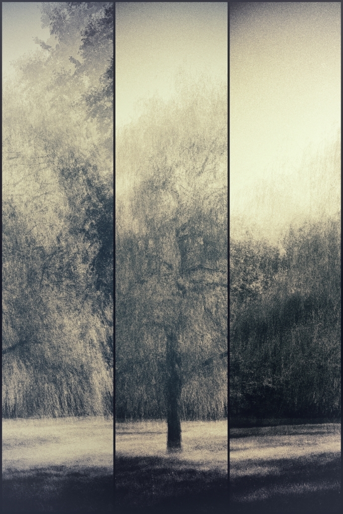1_678_1_2