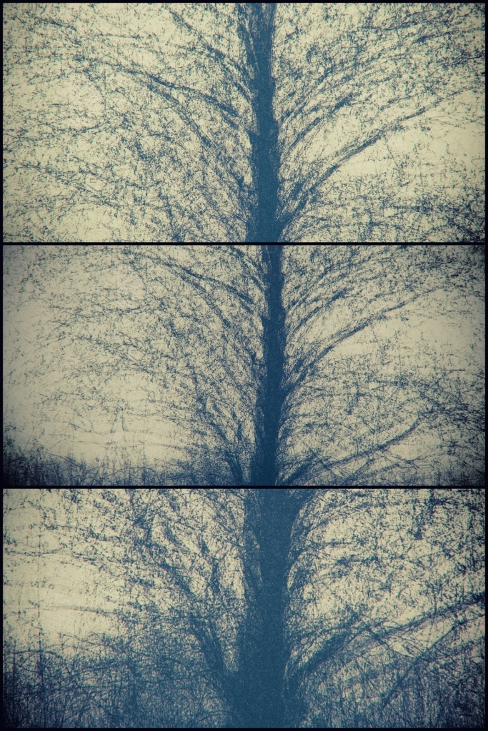1_678_1_3