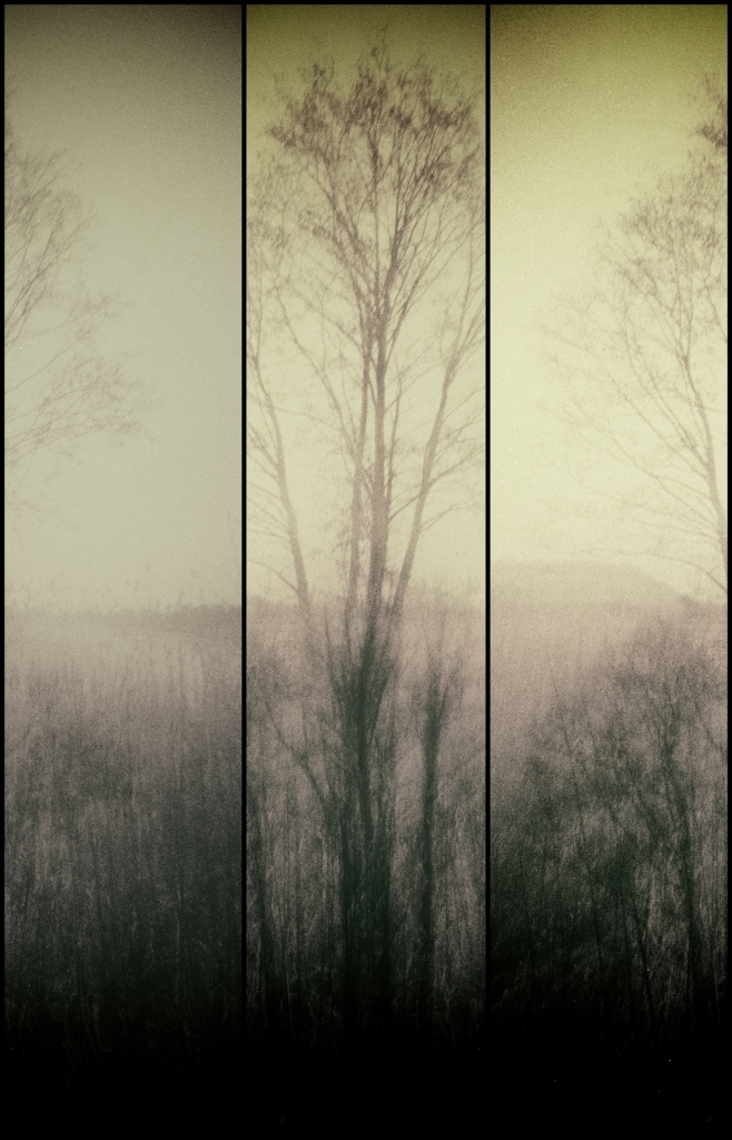 1_678_1_6
