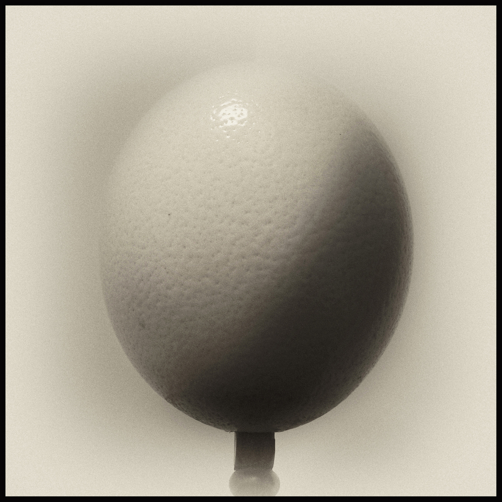 1_681_1_8
