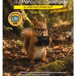 Exposition de plein air au parc de la Solitude
